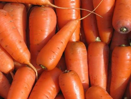 Cultivarea morcov, de plantare și îngrijire