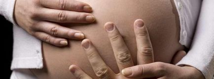 Pot mîngîie burta in timpul sarcinii 1