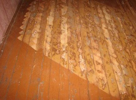 Este posibil să se toarnă podea pe podea de lemn podea de auto-nivelare pe o bază de lemn sub un copac în casă, fotografie