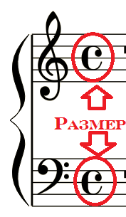 notație muzicală pentru muzicieni devenire