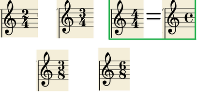 notație muzicală pentru muzicieni devenire