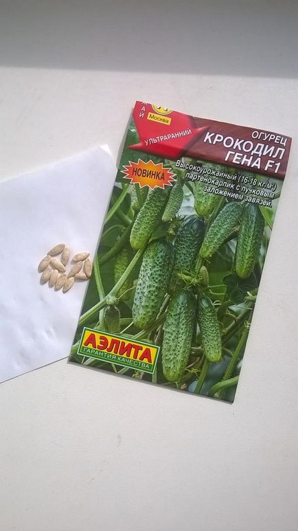 gena crocodil - - Cucumber f (Aelita) (castravete) gena crocodil - - Cucumber f (Aelita)