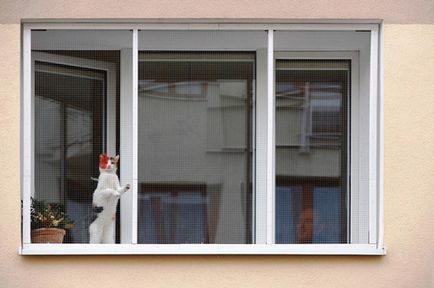 Windows și balcoane în condiții de siguranță pentru pisici