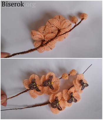 sistem de șirag de mărgele de țesut orhidee, fotografii și clipuri video cu u