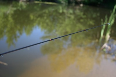 De la A la Z despre pescuit cu filare pe râul dezvăluie toate nuanțele