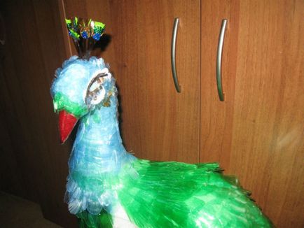 Peacock de p class plastic