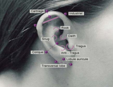 Piercing (piercing) urechi tipuri, sfaturi, video