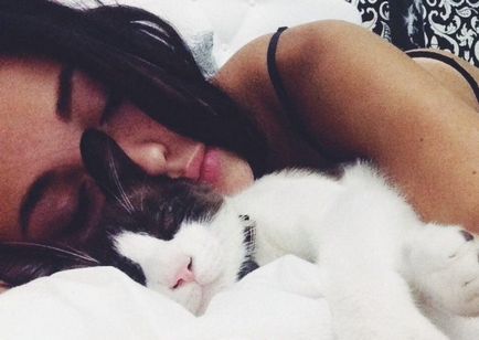 De ce pisicilor le place să doarmă alături de stăpânii
