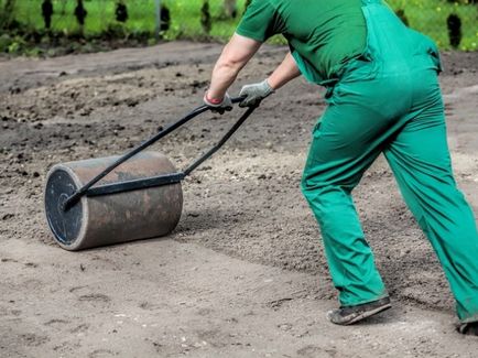 Pregătirea solului sub gazon, precum și o varietate de sol și sol pentru gazon