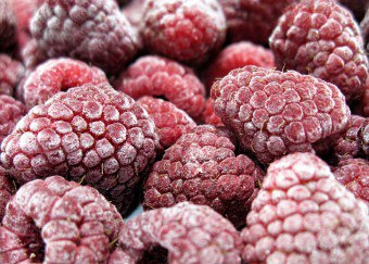 fructe de padure Freeze adecvat pentru iarna