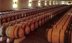 producția de vin