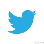 Contul de promovare twitter - 6 moduri