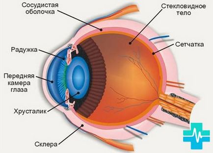 pupile dilatate