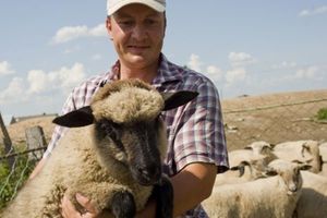 Oile la domiciliu în special conținutul de ovine și caprine în filiala personale