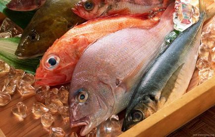 Pește, roșu, calorii râu, beneficii și rău, căruia îi este foarte