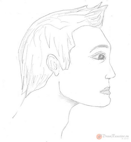 Desenați o față în profil - lecții de desen