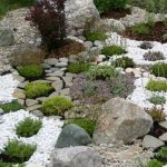 Stancarie sistem de grădină de piatră, instrucțiuni pas cu pas modul de a face propriile tale mâini rockeries