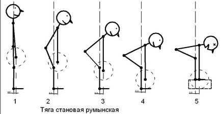 îndoit deadlifts română sau picioare drepte