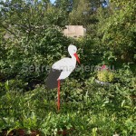 Casa Stork (de casă) Stork de casă