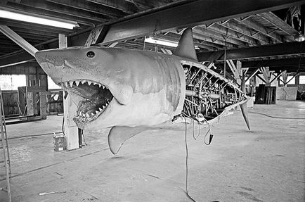 Filmarea a maxilarului (mandibula) Fotografiere de film maxilarului