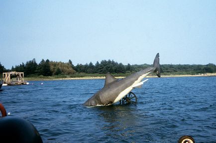 Fotografiere de film maxilarului