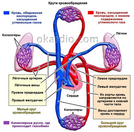 astm cardiac cauze, simptome și tratament, este