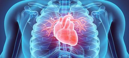 Heart supape descriere, structura, funcțiile și defectele (inima) Heart supape descriere, structura, funcțiile și defectele
