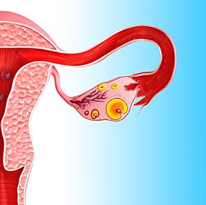 epuizarea prematură a simptomelor sindromului ovarian, tratament și dacă sarcina este posibil (sindrom) epuizarea prematură a simptomelor sindromului ovarian, tratament, și dacă sarcina este posibilă