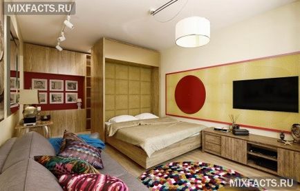 O cameră dormitor-living într-o singură cameră (fotografii)