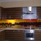 șorț de sticlă pentru bucătărie cu mâinile sale caracteristici distinctive și instalarea acestuia - kuhnyagid - kuhnyagid