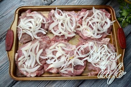 Carne de porc în franceză în cuptor retete cu fotografii