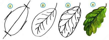 frunze de desen ramuri de circuit și copac (mesteacăn, molid, stejar, paltin)