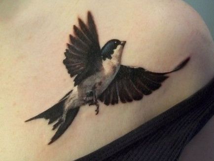 Tatuaj rândunică - valoare desene sau modele tatuaj și fotografii