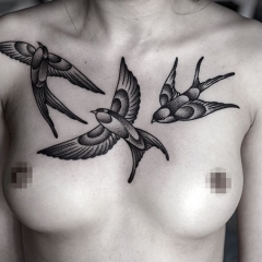 Tatuaj rândunică - valoare desene sau modele tatuaj și fotografii