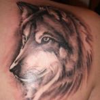 Wolf tatuaj sensul schite