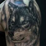 Wolf tatuaj sensul schite