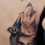 Wolf tatuaj sensul schite