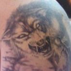 Wolf tatuaj sensul schite