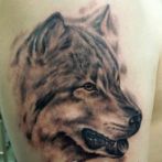 Wolf tatuaj sensul schite