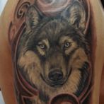 Wolf tatuaj sensul schite