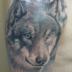 Wolf tatuaj sensul schite