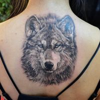 lup tatuaj - valoare