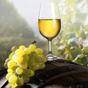 Tehnologia de producție de vin