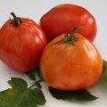 Tomate pertsevidny descriere a soiului