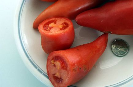Tomate „pertsevidny“ - observații cu privire la varietatea, o fotografie de tomate, caracteristici și descrierea