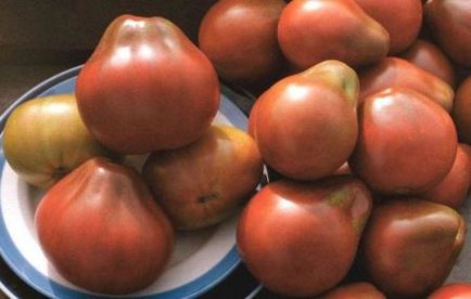 Japoneză comentarii tomate trufa fotografie, și descrierea soiului