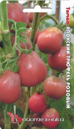 Japoneză comentarii tomate trufa fotografie, și descrierea soiului