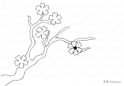 Aflați pas cu pas pentru a desena flori de cires creion