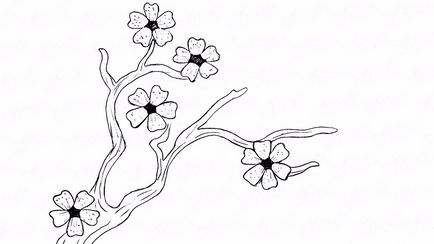 Aflați pas cu pas pentru a desena flori de cires creion