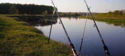 Lansete pentru pescuit vara - modul de a alege o momeală bună, și ce mai bine